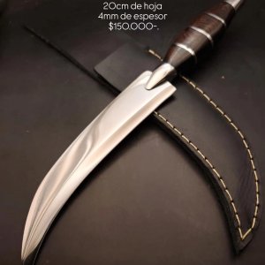 Corvo Ebano